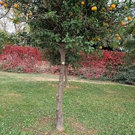 Holistic Balance דירה אנטליה