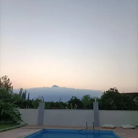 Holistic Balance Antalya